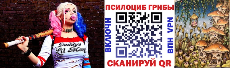 Псилоцибиновые грибы мухоморы Чегем